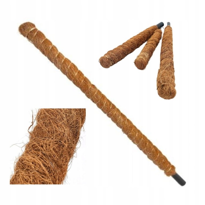 Dekoratív virágtartó kókuszdió karóval, 120 cm