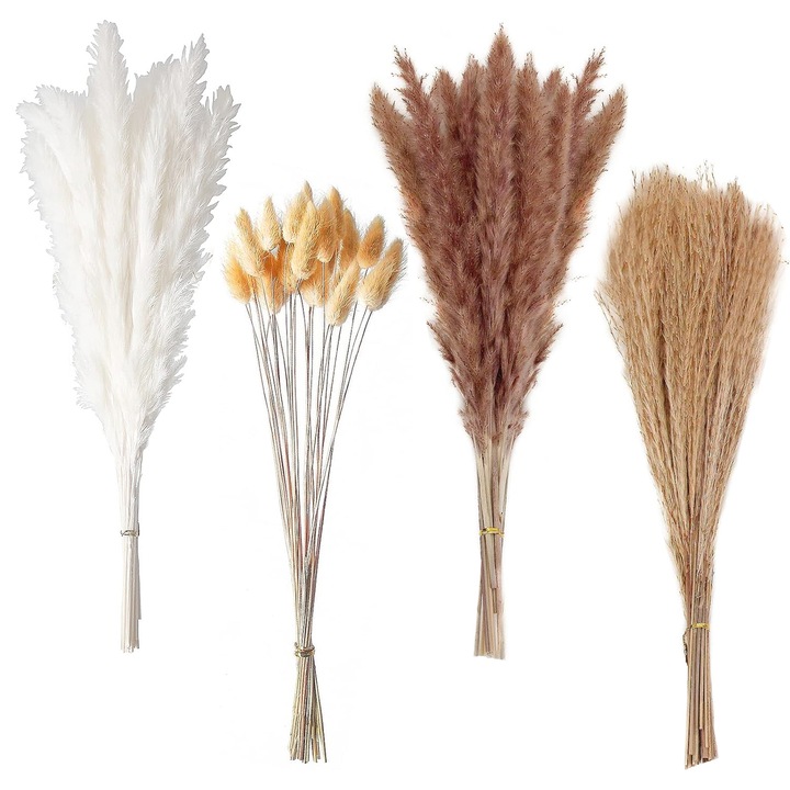 Set de 100 ornamente din iarba pampas uscata, qipuneky, 120 cm, bej