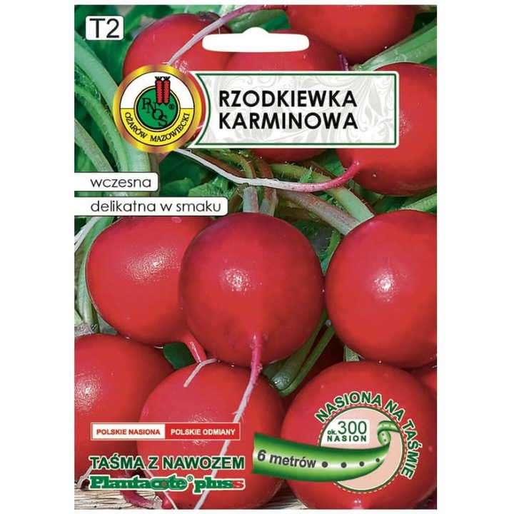 Radacina Karminowa, Pnos, 300 seminte, culoare rosu inchis, 6m banda cu ingrasamant