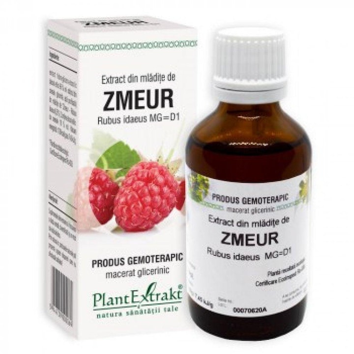 Extract din Mladite de Zmeur 50ml
