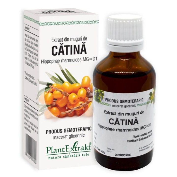 Extract din muguri de Catina 50 ml – Solutie 100% naturala cu extract din muguri de Catina, sustine imunitatea si revitalizarea organismului in perioade de oboseala fizica si psihica, 50 ml.