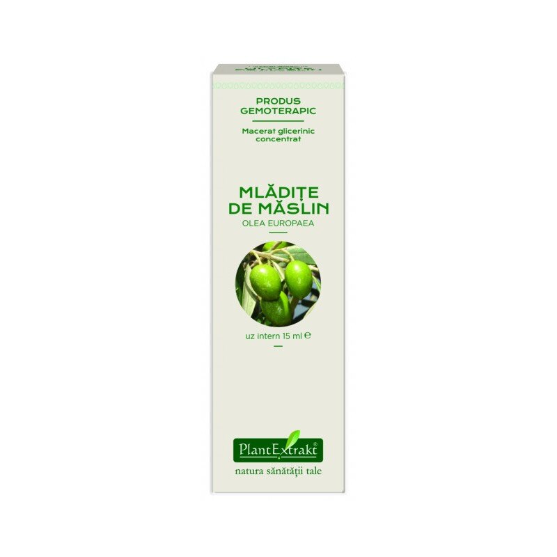 Extract concentrat din mladite de maslin 15 ml (OLEA EUROPAEA) - Plantextrakt