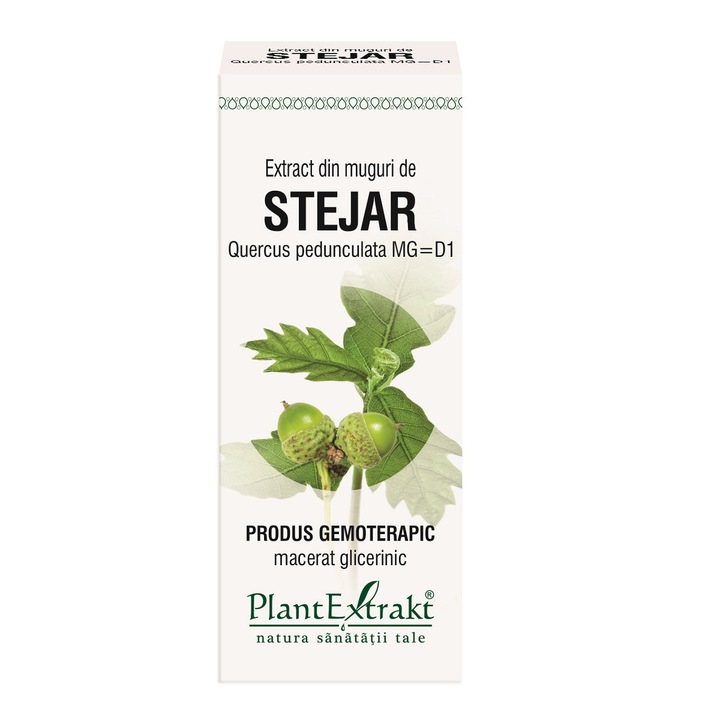 Extract din muguri de stejar 50 ml (QUERCUS PED.) - Plantextrakt