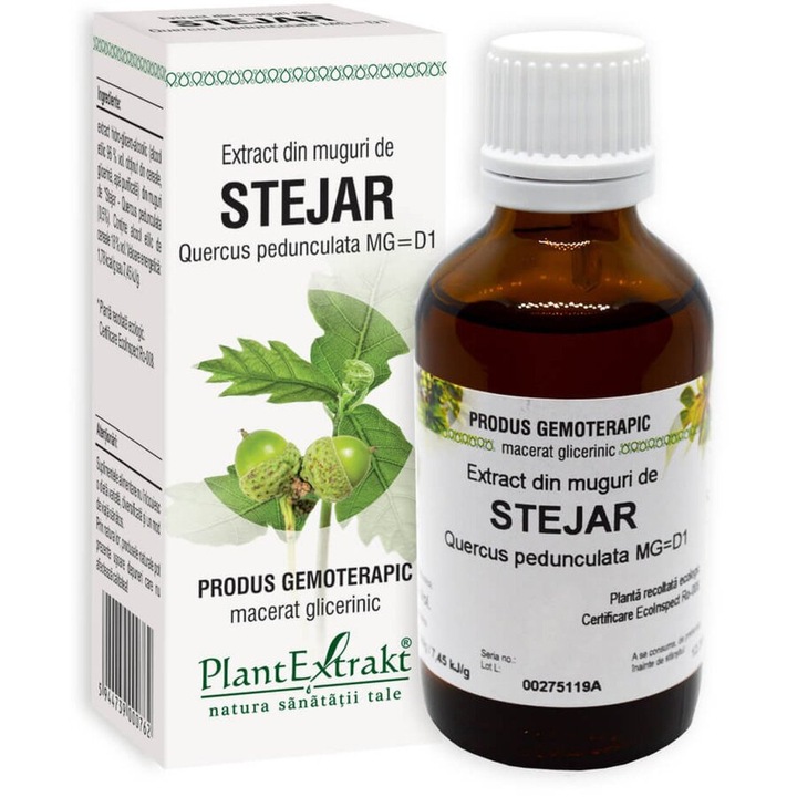 Extract din muguri de stejar 50 ml (QUERCUS PED.) - Plantextrakt