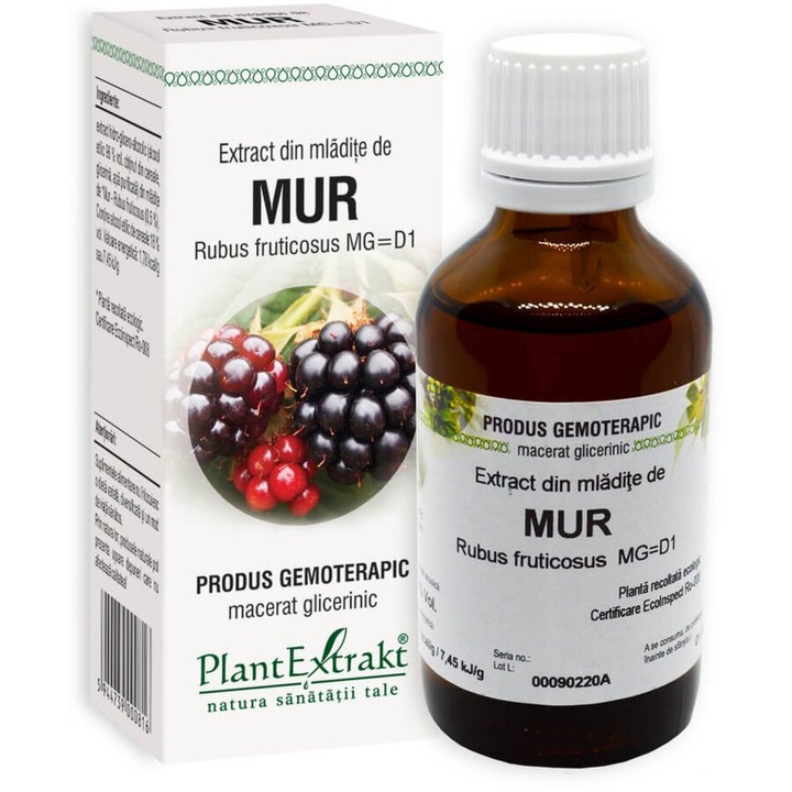 Extract din mladite de mur, 50 ml Plant extract