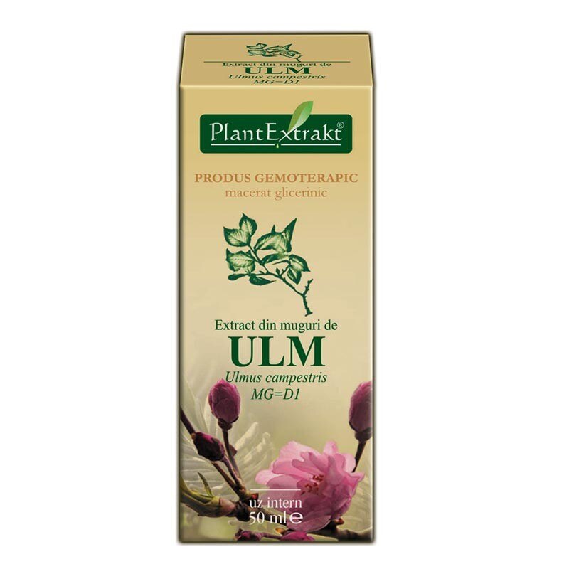 Extract din muguri de ulm 50 ml (ULMUS CAMPESTRIS) - Plantextrakt