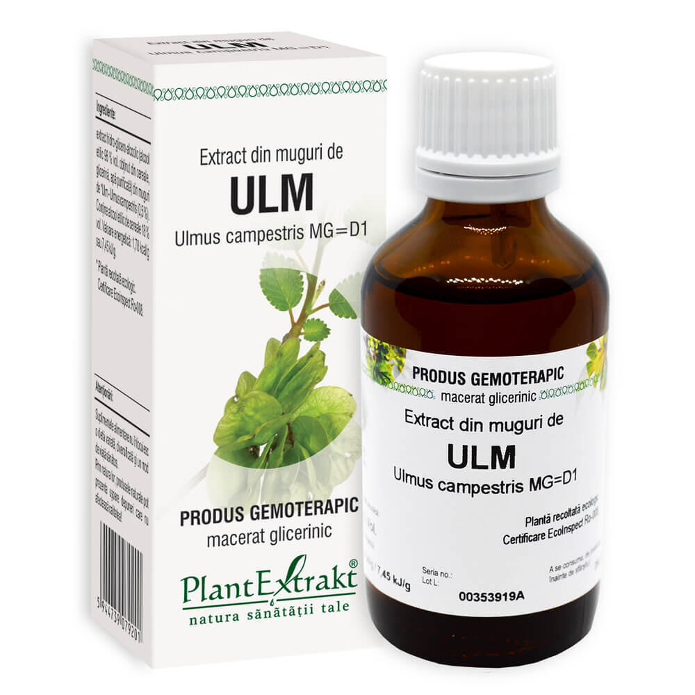 Extract din muguri de ulm 50ml