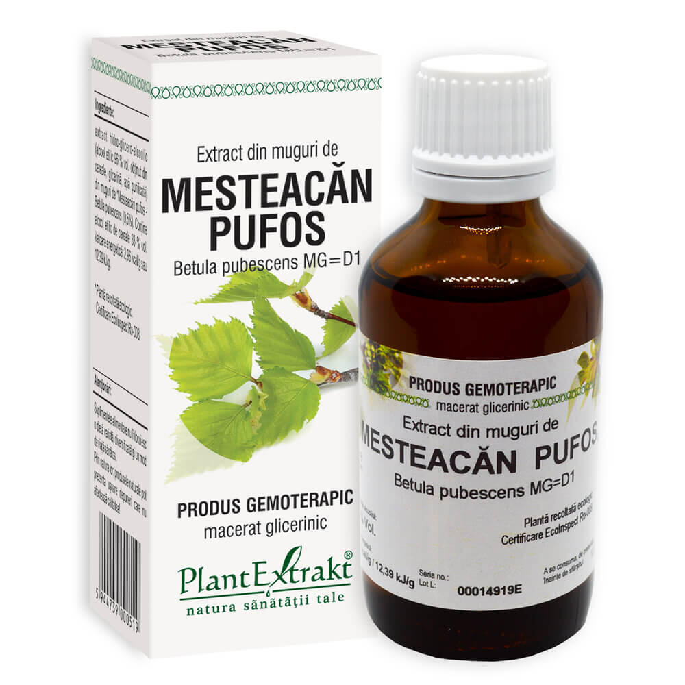 PLANTEXTRAKT, Extract din Muguri de Mesteacan Pufos 50ml
