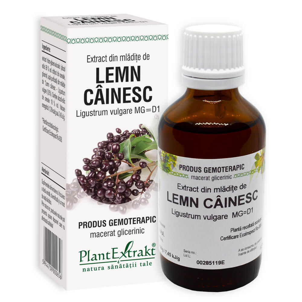PLANTEXTRAKT, Extract din Mladite de Lemn Cainesc 50ml