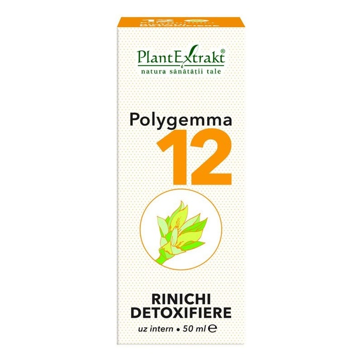 Polygemma nr. 12 - Rinichi Detoxifiere - 50 ml - Plantextrakt