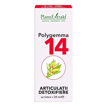 Polygemma 14 Articulatii, Detoxifiere, Plant Extrakt, Supliment Alimentar cu rol in Eliminarea Acidului Uric si Ureei si Mentinerea Mobilitatii Articulatiilor, 50 ml Polygemma 14 Articulatii, Detoxifiere, Plant Extrakt, Supliment Alimentar cu rol in Eliminarea Acidului Uric si Ureei si Mentinerea Mobilitatii Articulatiilor, 50 ml