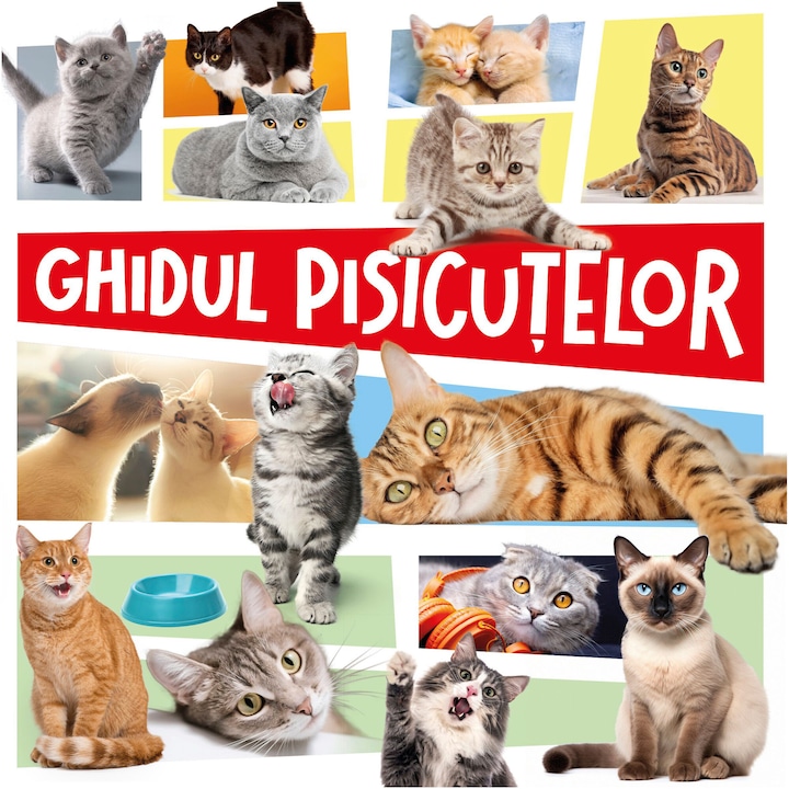 Ghidul pisicutelor