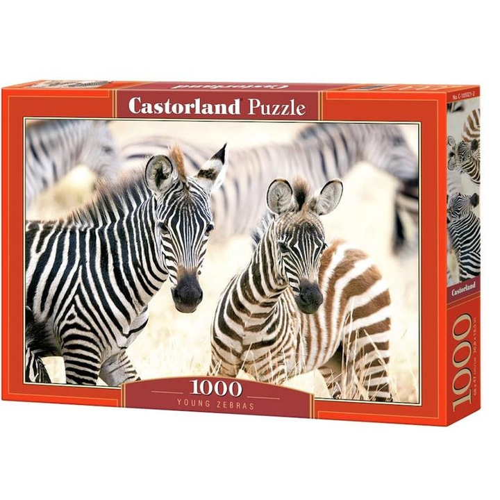 Castorland 1000 db-os puzzle - Fiatal Zebrák (C-105021)