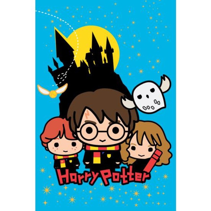 Harry Potter polár takaró (HP-8152FB)
