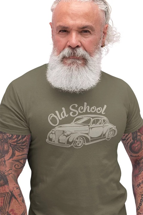 ST00043 Scoala veche, Verde