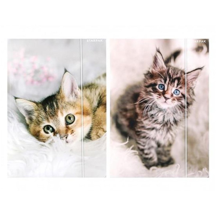 Folder cauciucat Cat A/4 - doua tipuri (559717)