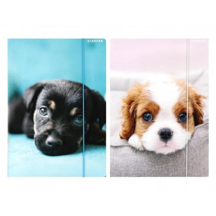 Dosar cauciucat Dog A/4 - doua tipuri (559719)