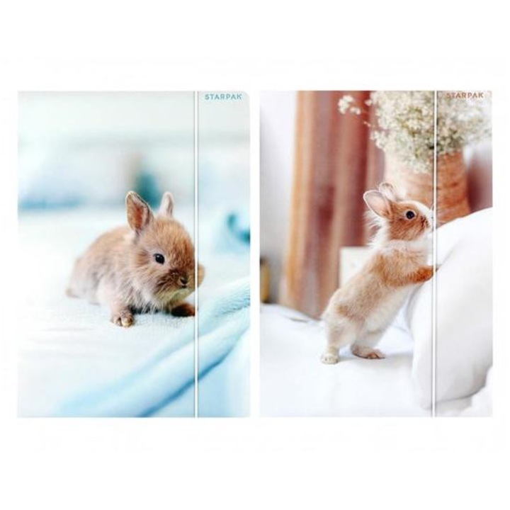 Nyuszis A/4 gumis mappa - kétféle (559727)