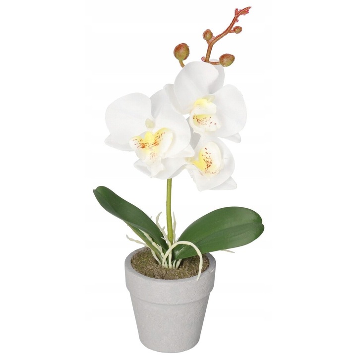 Planta artificiala, Luka, orhidee, alb cu galben, 27,5x6,5cm, set disponibil