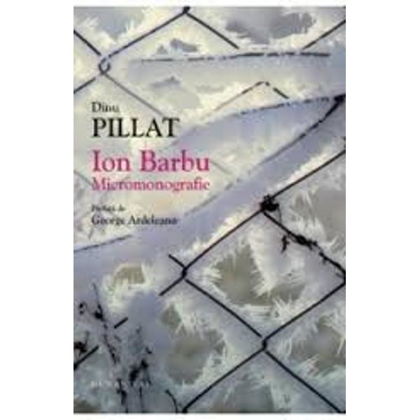 Ion Barbu. Micromonografie - Diunu Pillat