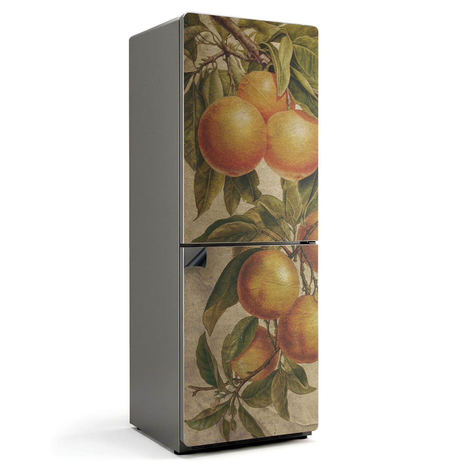Folie magnetica pentru frigider, Wallfluent, O ramura cu citrice