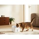 Xiaomi Smart Pet Fountain 2 okos kisállat itató