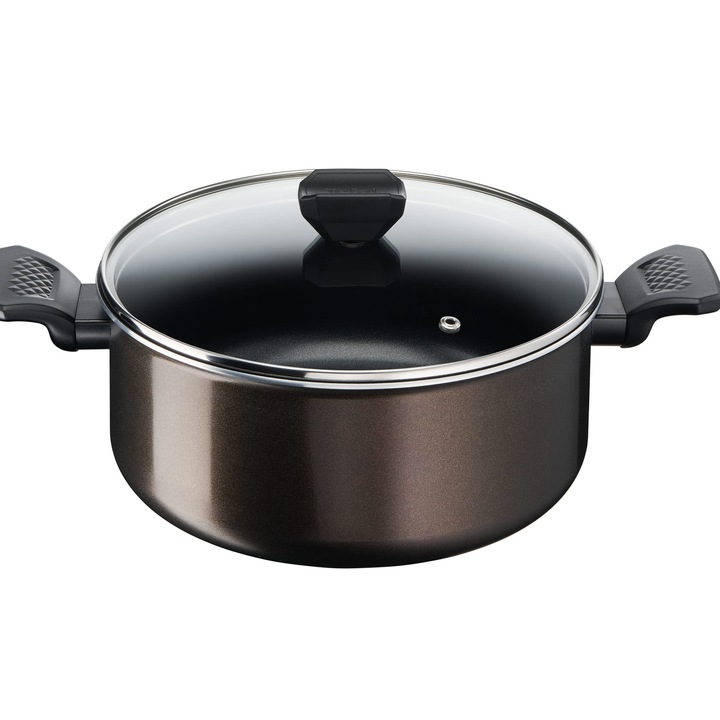 Тенджера Tefal Easy Cook & Clean, 24 см (4,7 л) + капак, за всички видове котлони, с изключение на индукционни B5544602