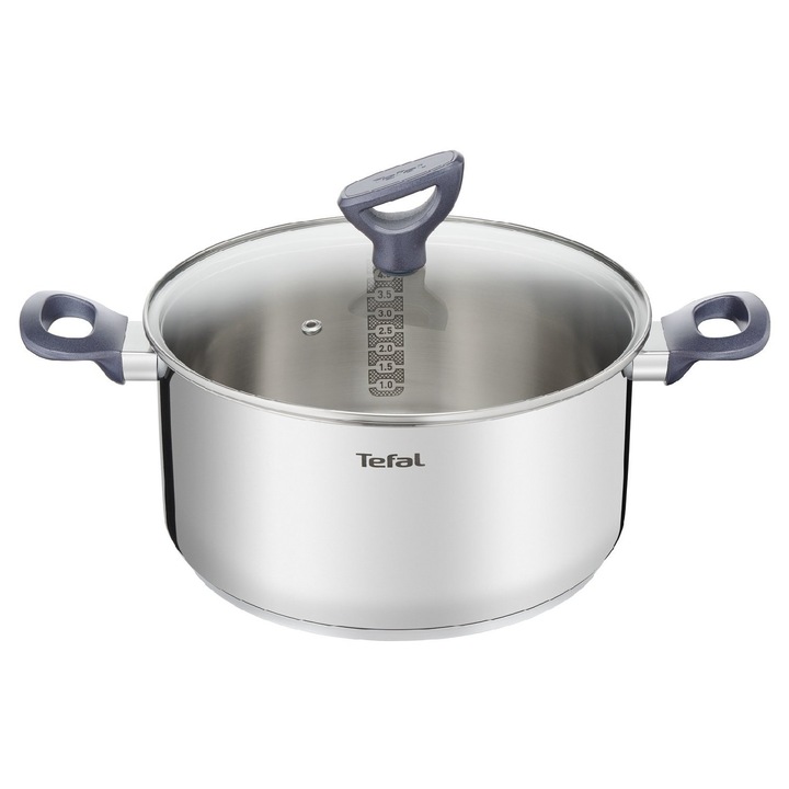 Tefal G71244 Daily Cook тенджера с капак 20 см, мерителна скала и помощно средство за наливане, подходяща за индукция, термопластична дръжка, неръждаема стомана