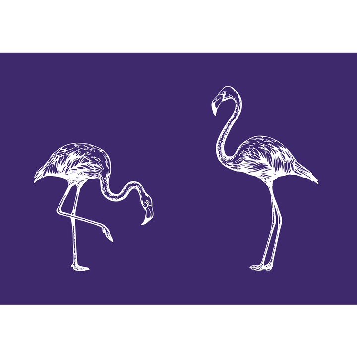 Sablon adeziv flamingo, DIN A5, Rayher, cu racleta