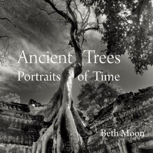 Ancient Trees: Portraits of Time, Beth Moon (Author)