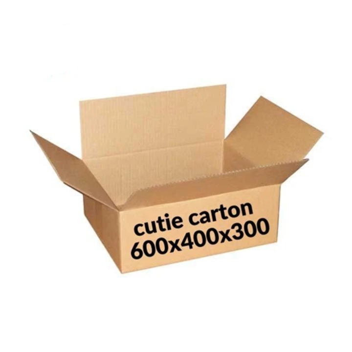 Set 100 Cutii clasice natur 600x400x300mm