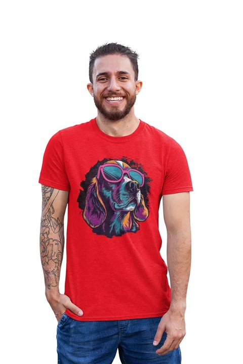 ST00176 Retriever, Rosu