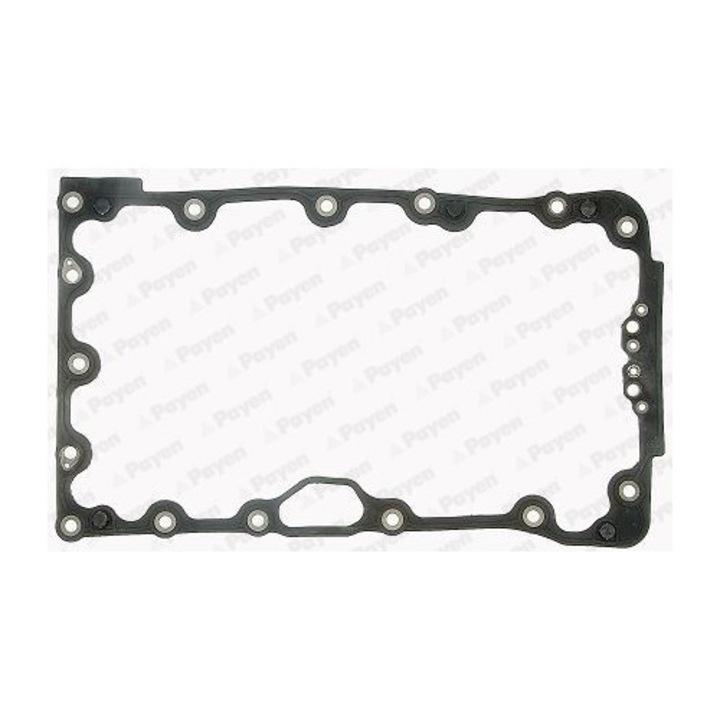 Garnitura, baie de ulei PAYEN JH5012