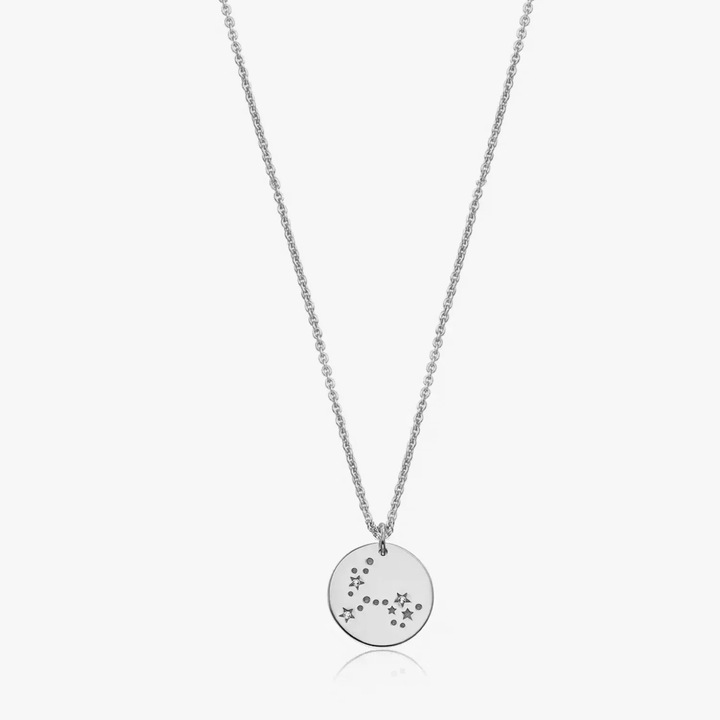 Colier din argint Silver Zodiac - Pisces