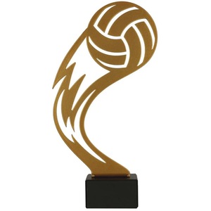 Cupe, trofee si medalii