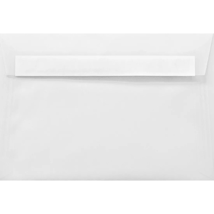 Set plicuri decorative, Netuno, Aster Tracing, C5, 162x229 mm, din hartie carbon, Inchidere Delta, 112g, Transparent, 250 buc