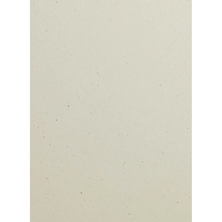 Set Hartie decorativa ecologic, Netuno, Flora, 130g, A4, 210x297 mm, Bej, 10 buc