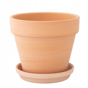 Ghivece si suporturi