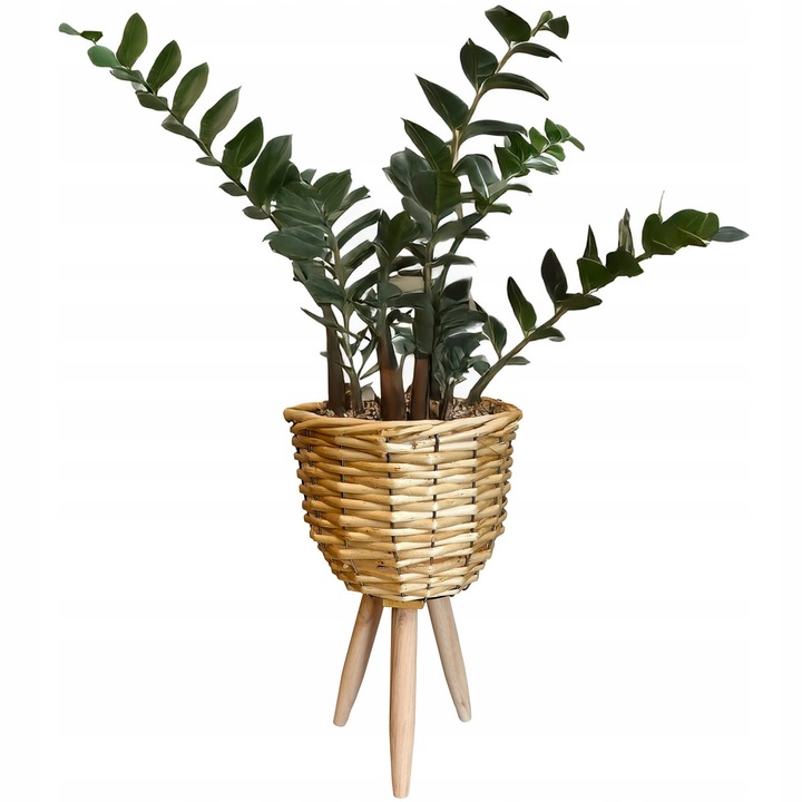Бамбукова саксия с поставка, Skandi, 34 см, естествен цвят, за вътрешна и външна употреба