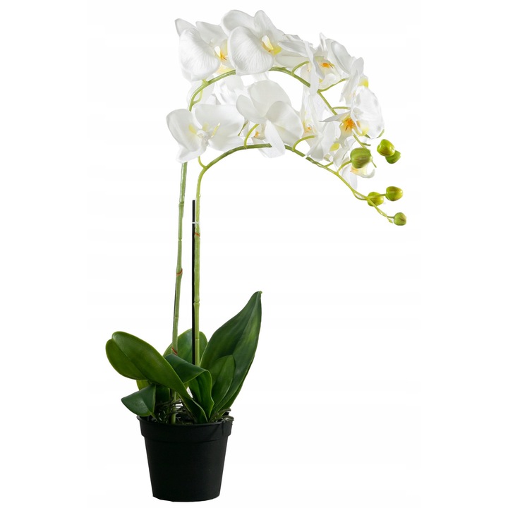 Orhidee artificiala Skandi, plastic, verde/alb, 38 x 62 cm