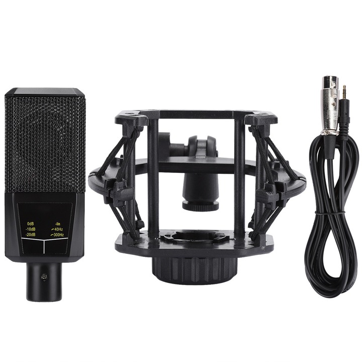 Sistem Karaoke Wireless cu 2 Microfoane, Negru, 15x8.5x2.5cm