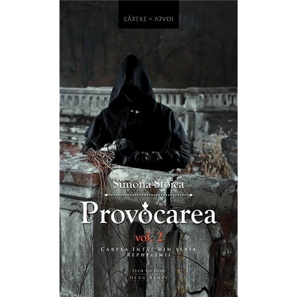 Provocarea vol. 2 - Simona Stoica