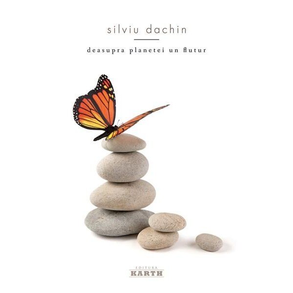 Deasupra planetei un flutur - Silviu Dachin