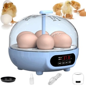 Incubatoare oua