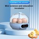 Incubator de Oua cu Afisaj de Temperatura, Noonedibs, Umiditate si Intoarcere Automata pentru Oua de Gaina, Controlul temperaturii la 30-39, 5 ℃, Incubator inteligent, pentru 6 Oua de Gaina, albastru