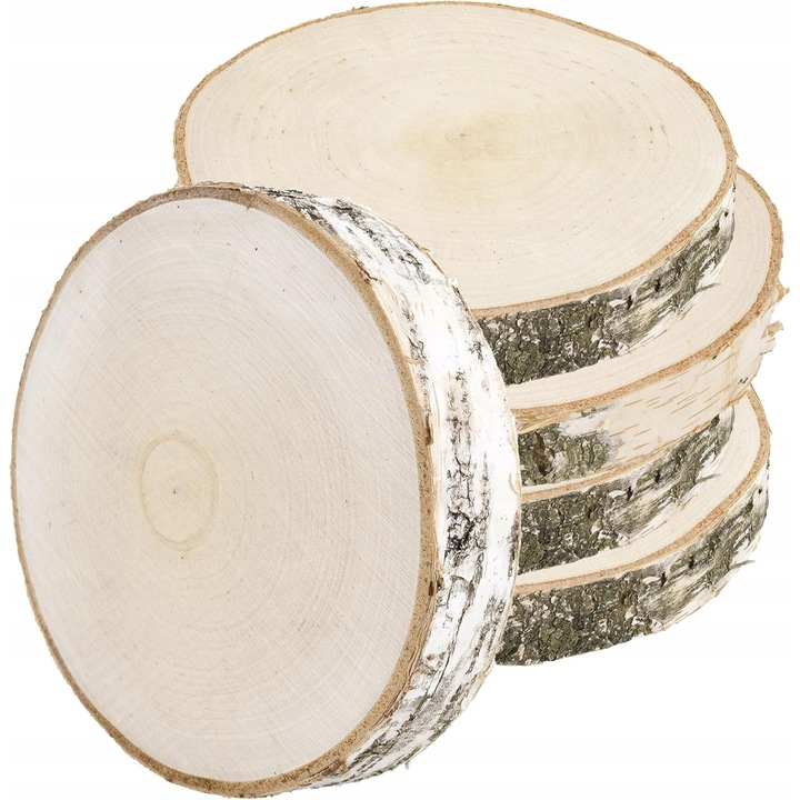 Set 5 discuri lemn natural mesteacan 17–20 cm, cu coaja – DIY, decoupage, pirogravura