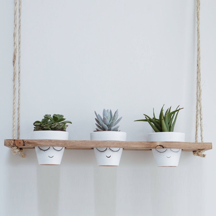 Raft perete, Noble Line, UnicUtil, 60 x 80 x 13 cm, Nuc