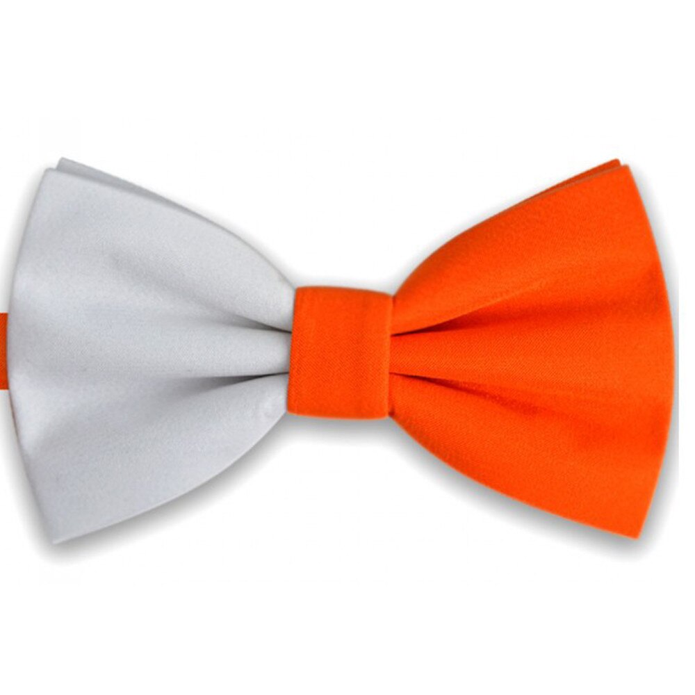 Papion bicolor, alb - portocaliu