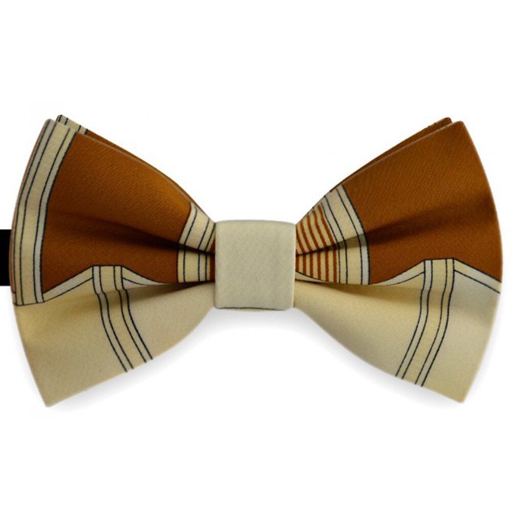 Papion bicolor, model abstract