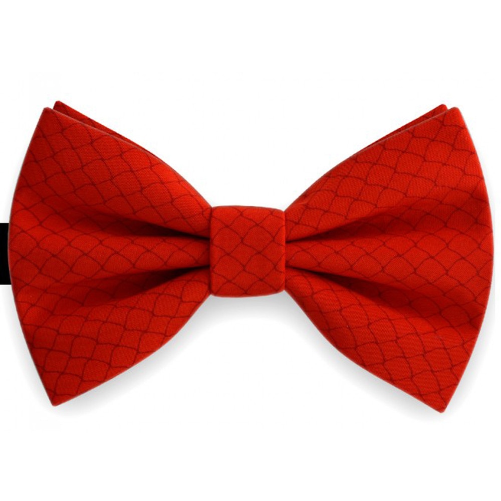 Papion rosu, model, plasa sarma decorativa